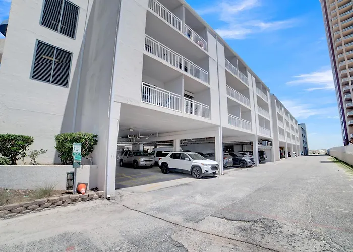Apartment Sugar 354 By Collection *